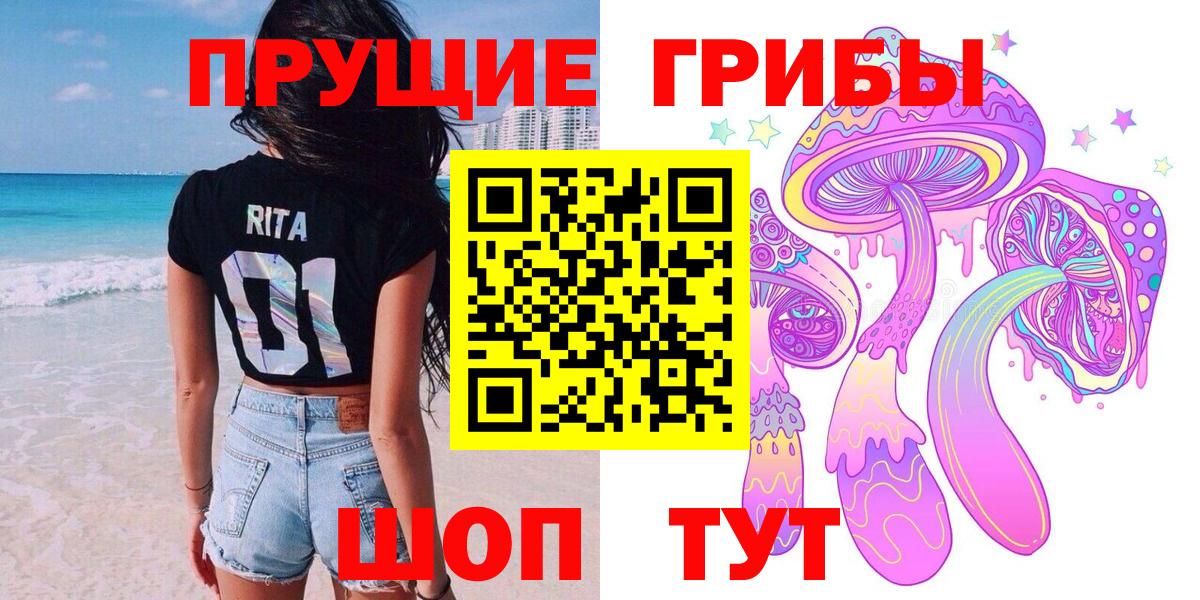 Галлюциногенные грибы Psilocybe Сердобск